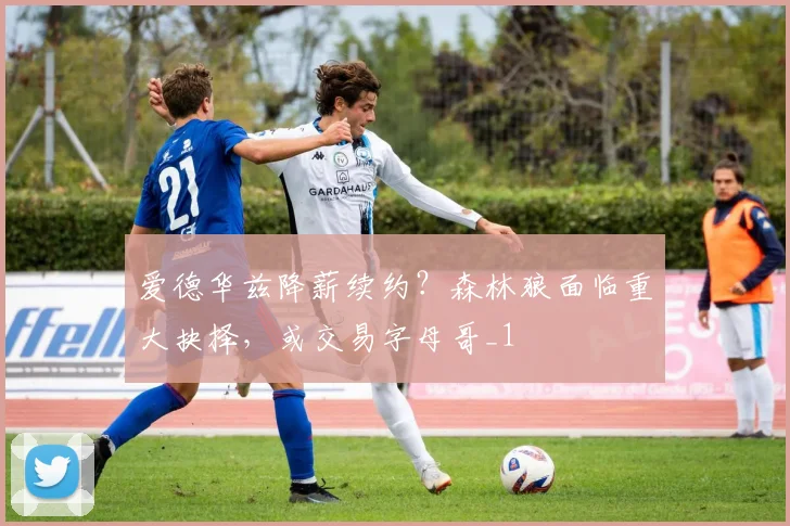 爱德华兹降薪续约？森林狼面临重大抉择，或交易字母哥_1