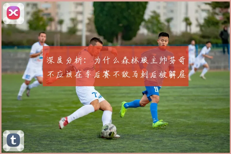 深度分析：为什么森林狼主帅芬奇不应该在季后赛不敌马刺后被解雇_1